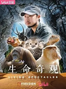 《生命奇观》：见证生命顽强绽放，一次关于勇气与希望的震撼之旅